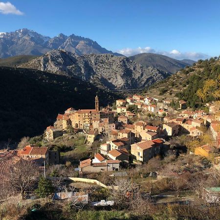 Charmant F2 Dans Joli Village Corse Omessa Exteriér fotografie